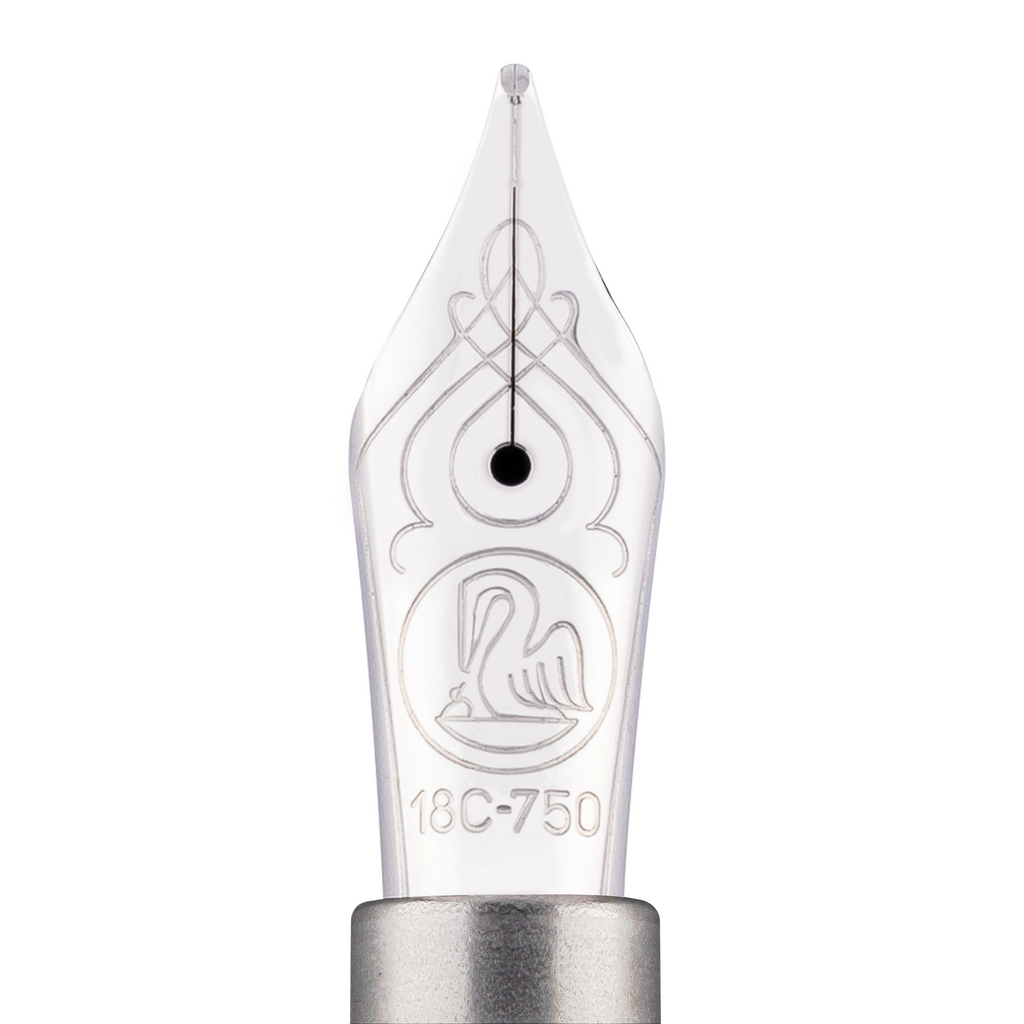 SE SOUVERÄN M805 METAL SLEEVE FOUNTAIN PEN F NIB IN GIFT BOX