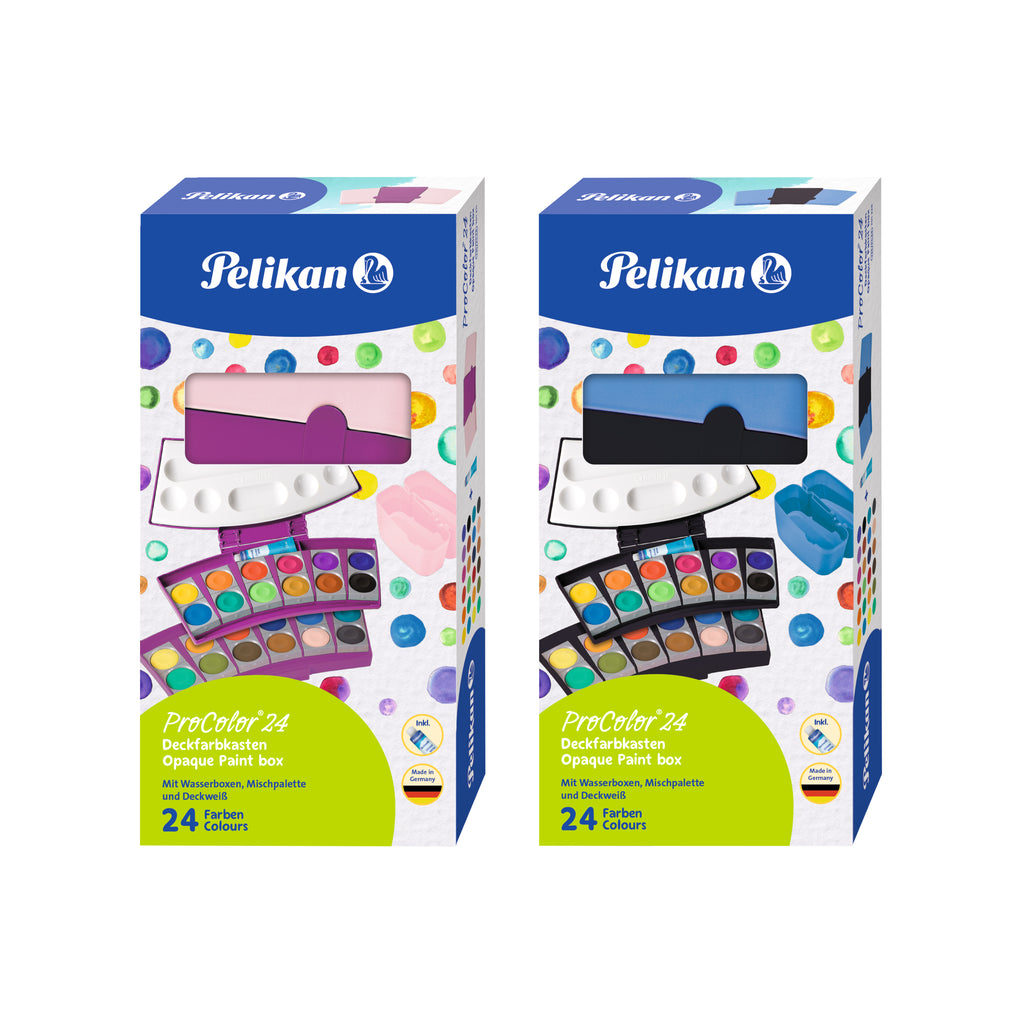 PAINTBOX PROCOLOR BERRY ROSE 24 COLOURS