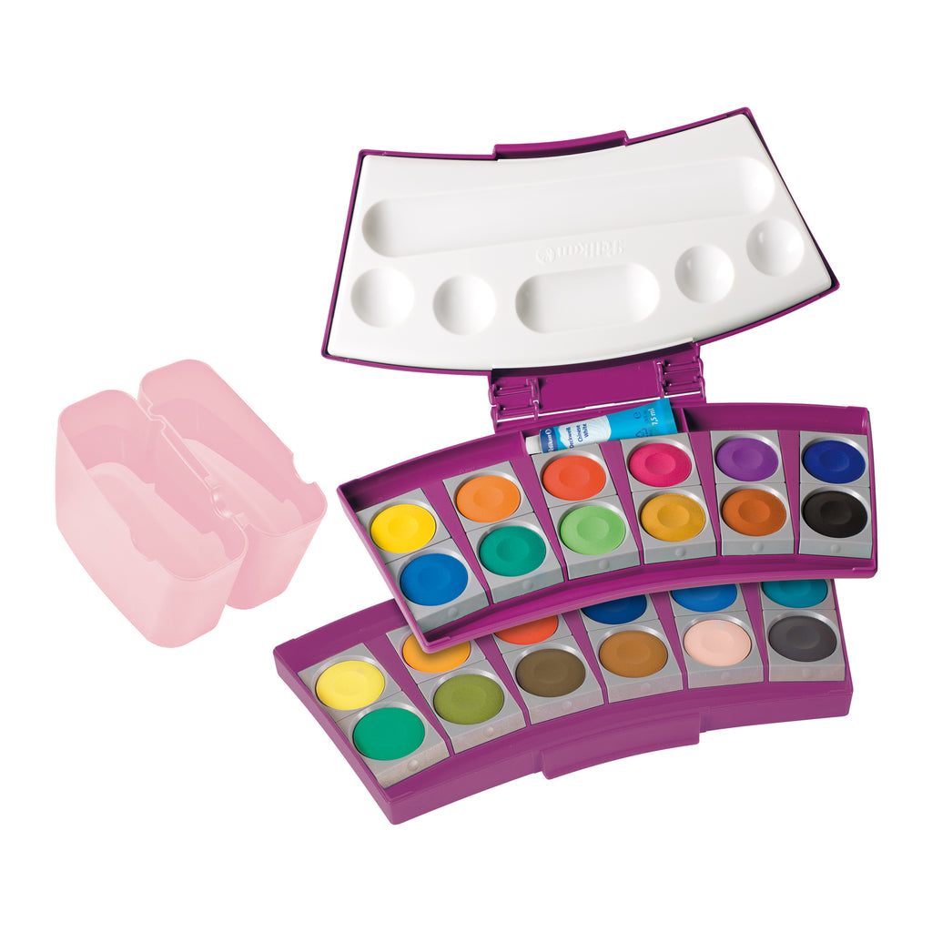 PAINTBOX PROCOLOR BERRY ROSE 24 COLOURS