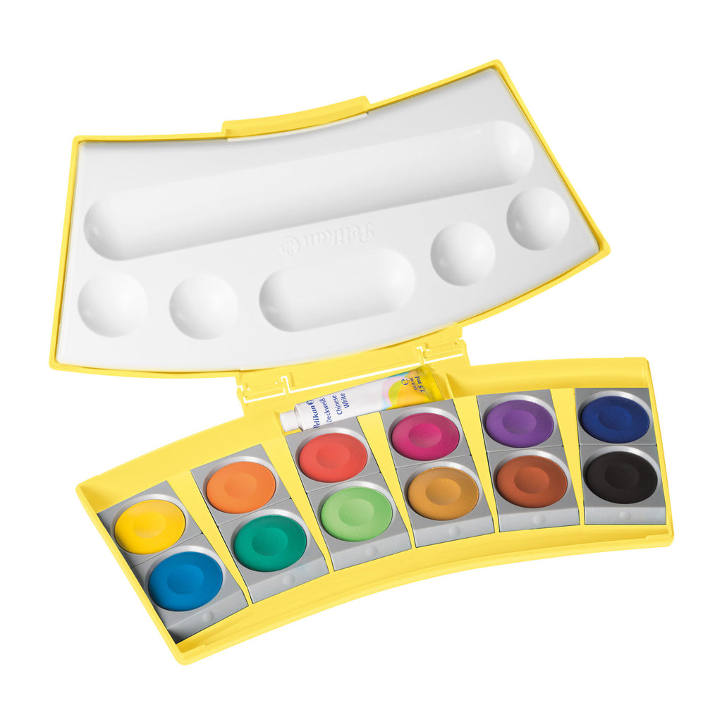 PAINTBOX PROCOLOR YELLOW OPAQUE 12 COLOURS