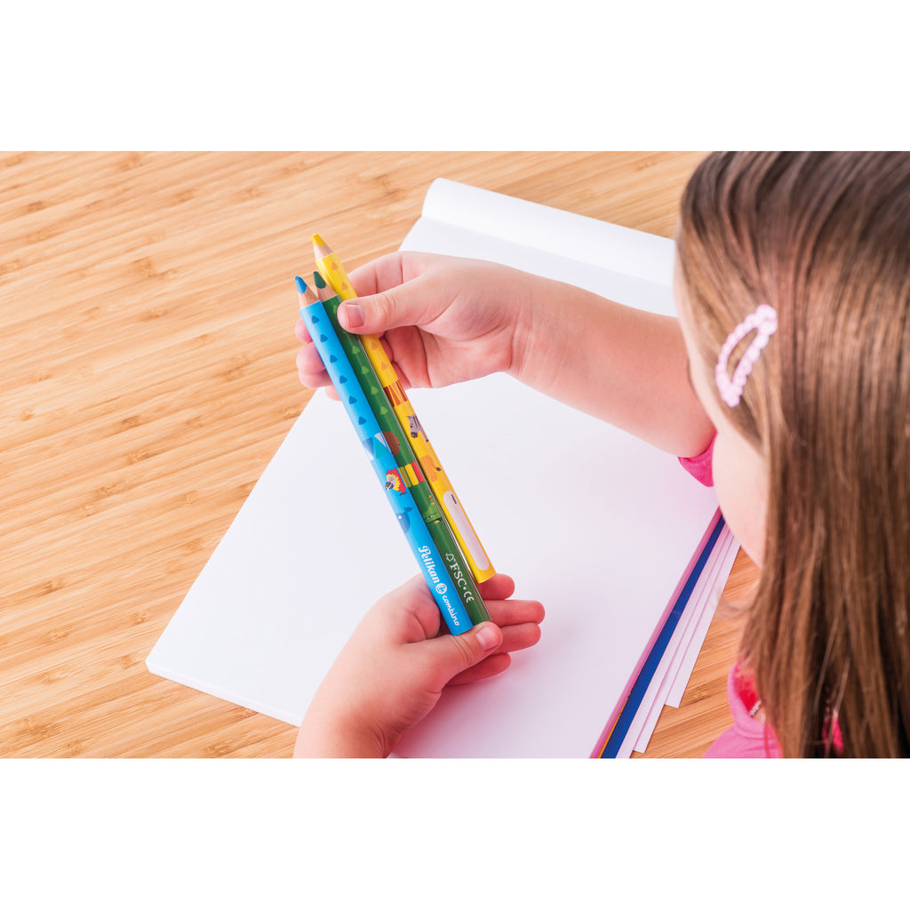 COMBINO® 12 COLOURED PENCILS