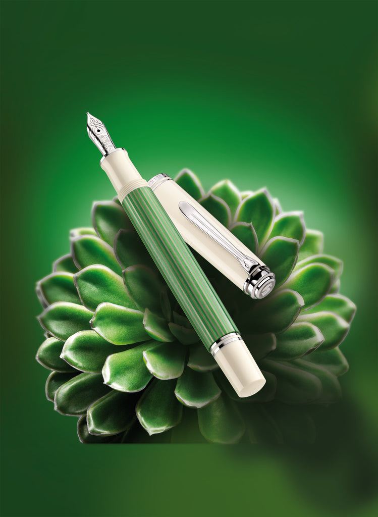 SE SOUVERÄN M605 GREEN-WHITE FOUNTAIN PEN EF IN GIFT BOX