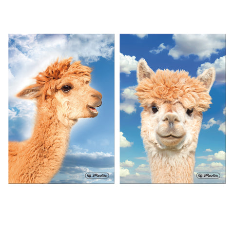 HARDBACK NOTEBOOK A5/96 LLAMA ASSORTED