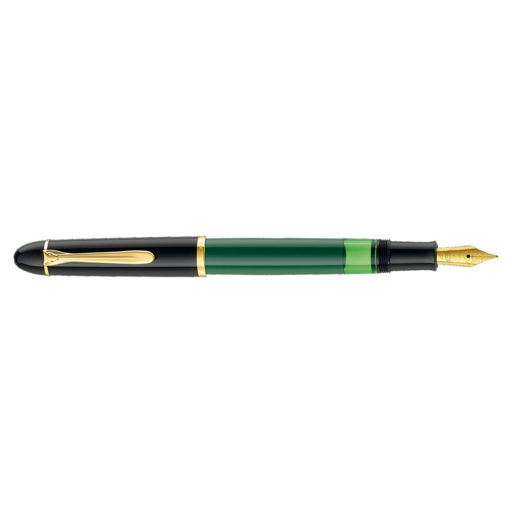 SE M120 GREEN-BLACK FOUNTAIN PEN B